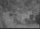 Unknown Bishops Unknown Bishops